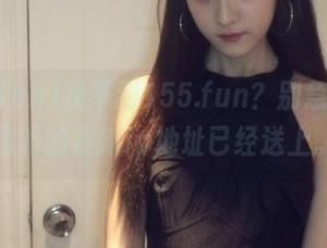 找不到155.fun?别急,永不迷路的最新ip地址已经送上。