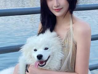 51吃瓜在线陪伴着我：无意间成了专业吃瓜评论员！