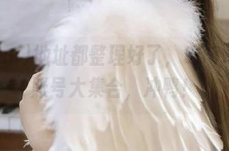 地址都整理好了，988.su黑料账号大集合，冲鸭！