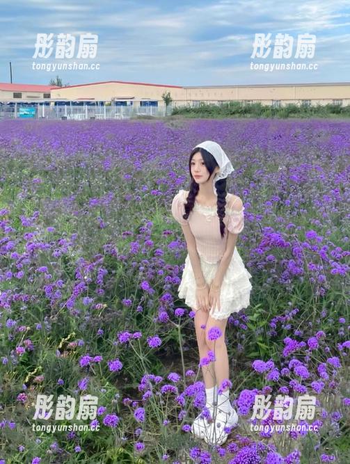 吾爱吃瓜 在看戏的星空下,吾爱吃瓜指引我走向永不迷路的回家之旅。