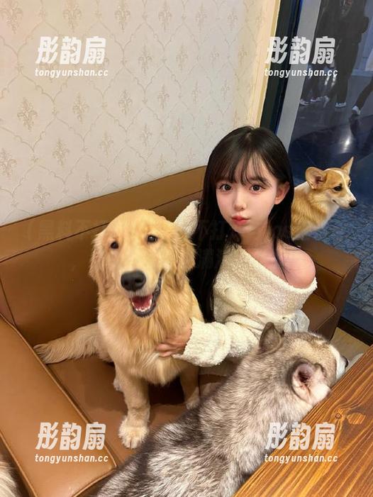 黑料不打烊 把黑料不打烊与ios相结合,结果我家猫也满满正能量!