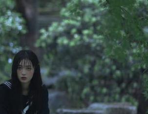 人在囧途,“黑料吃瓜网”苹果版让我一边看一边默默流汗!
